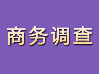 郎溪商务调查